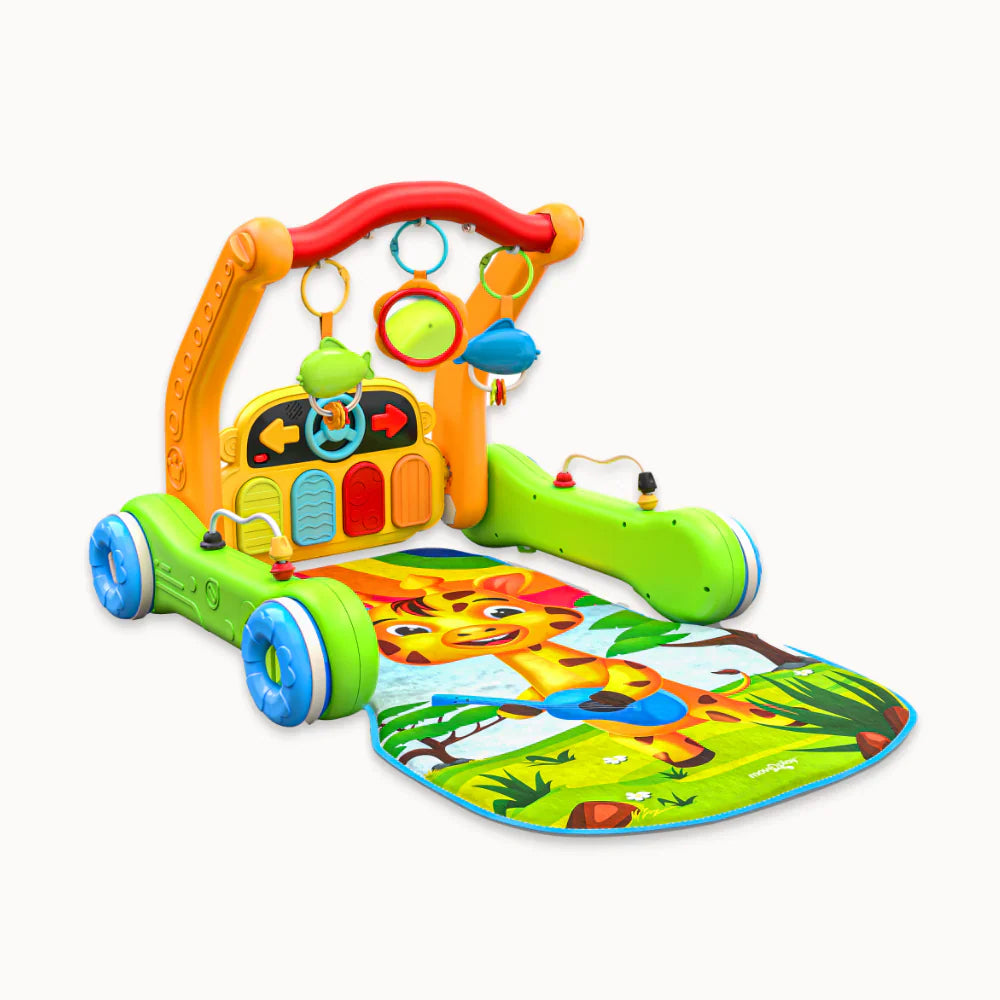 Baby Activity Play Mat